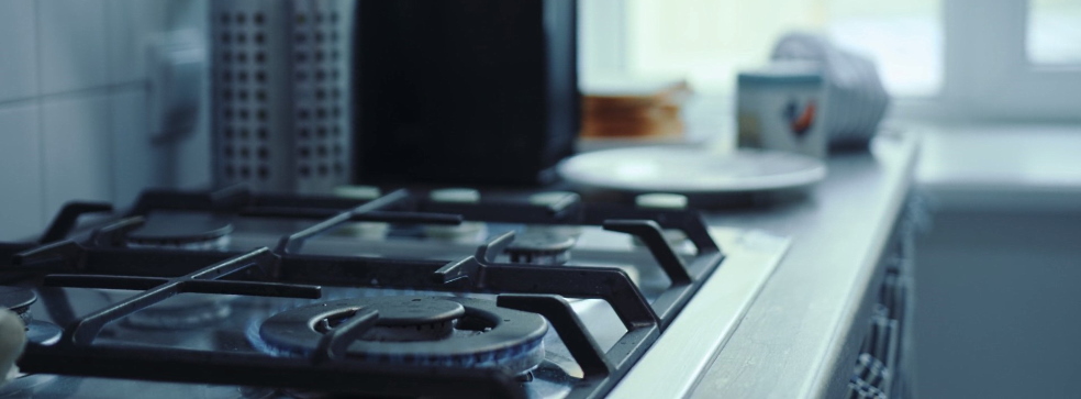 Germany is buying coal to survive the winter, but Brussels is pushing for RES Germany is buying coal to survive the winter, but Brussels is pushing for RES