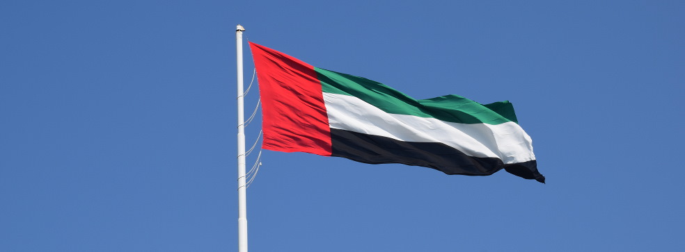 EPC services in the UAE: solar power plant contractor, financing and construction EPC services in the UAE: solar power plant contractor, financing and construction