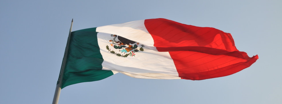 Solar power plants in Mexico: financing and construction Solar power plants in Mexico: financing and construction