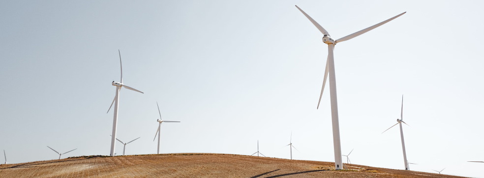 General contractor in Egypt: financing and construction of wind farms, engineering services and project management General contractor in Egypt: financing and construction of wind farms, engineering services and project management