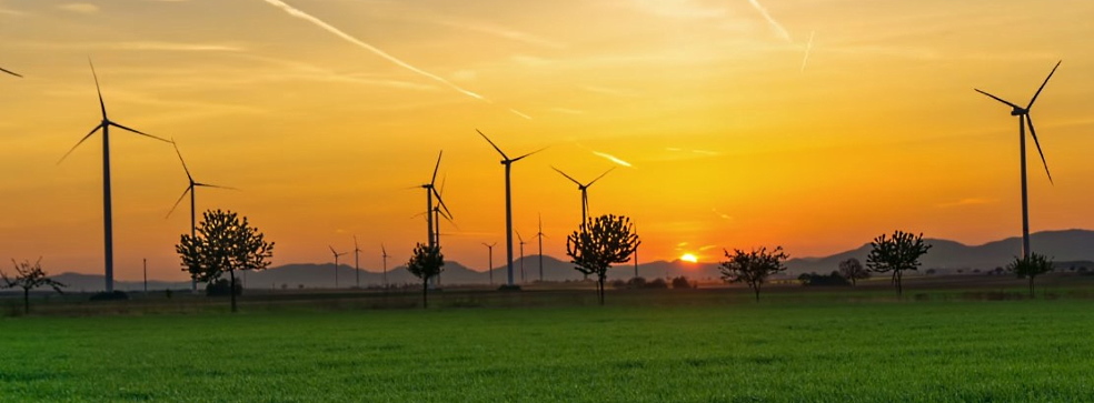 Wind farm construction cost Wind farm construction cost