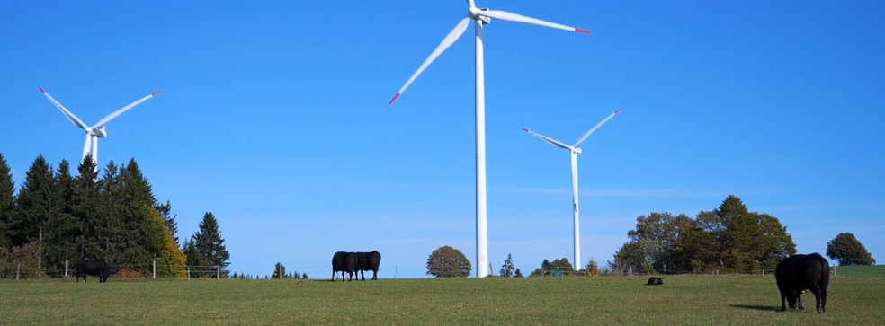 Green transformation: how Enel and Iberdrola felt the wind of change in the energy market Green transformation: how Enel and Iberdrola felt the wind of change in the energy market