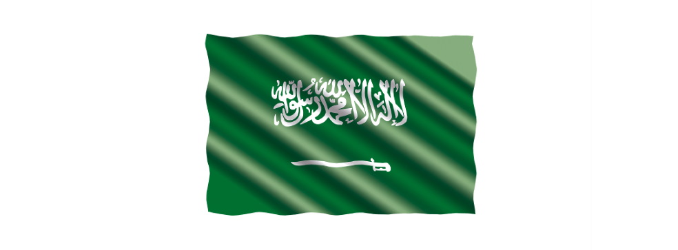 EPC contractor in Saudi Arabia: solar power plant construction, financing and management EPC contractor in Saudi Arabia: solar power plant construction, financing and management