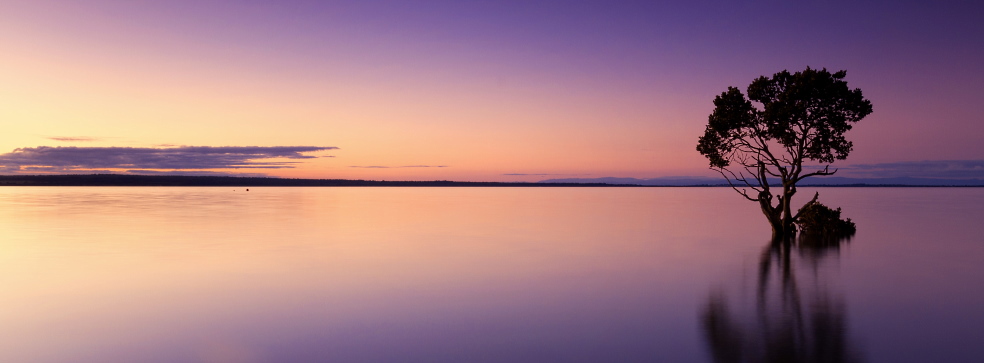 Engineering design of wastewater treatment plants and EPC contract Engineering design of wastewater treatment plants and EPC contract