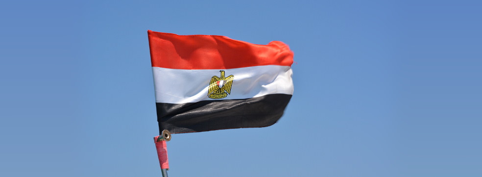 EPC contractor in Egypt: construction of solar power plants, engineering services and project management EPC contractor in Egypt: construction of solar power plants, engineering services and project management