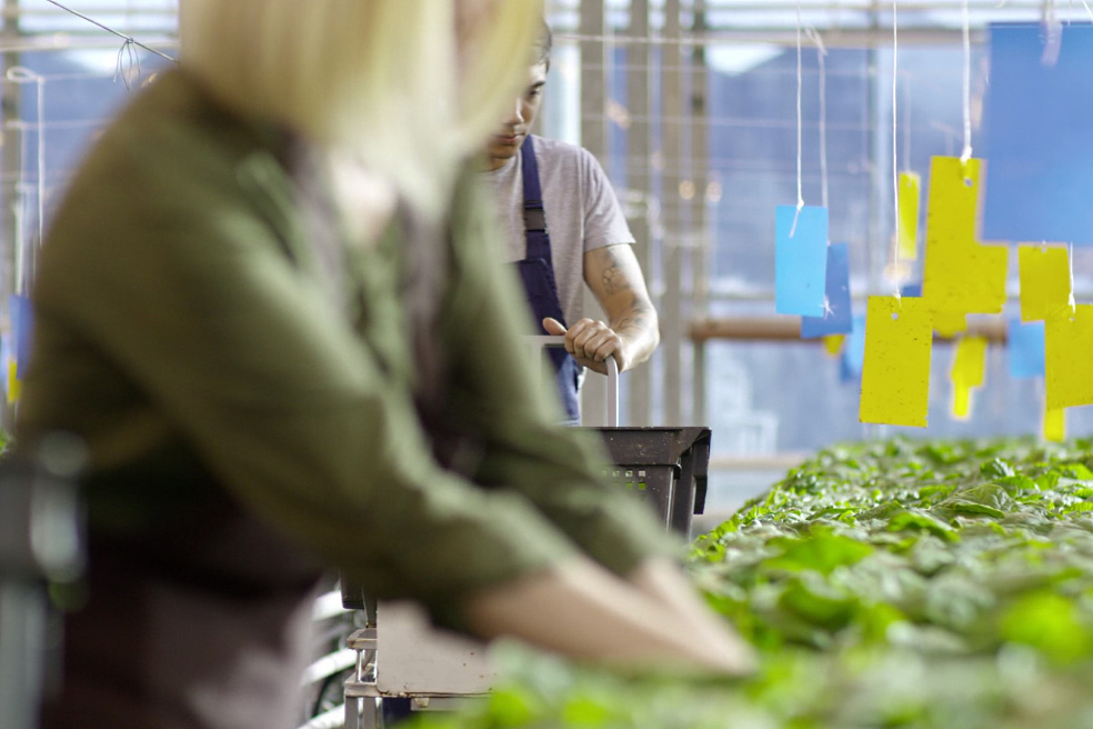 Bank financing and long-term lending for agricultural business Bank financing and long-term lending for agricultural business