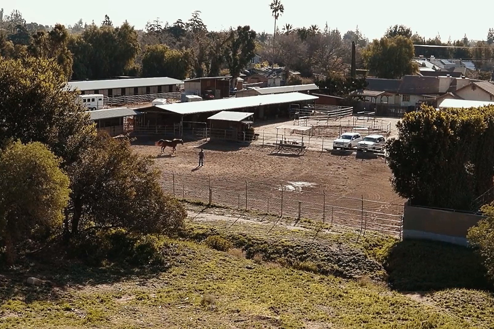 Project finance for compound feed plant: characteristics, stages and risks Project finance for compound feed plant: characteristics, stages and risks